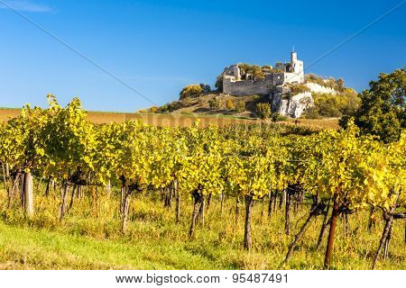 ruins of Falkenstein Castle with vineyard in autumn, Lower Austria, Austria