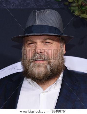 LOS ANGELES - JUN 09:  Vincent D'Onofrio arrives to the 