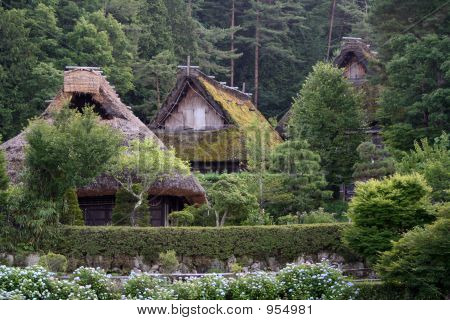 Village japonais