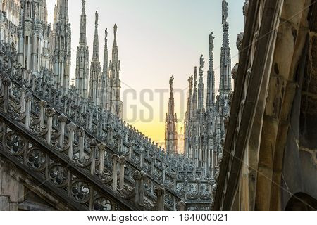 Roof of the Milan Cathedral with spiers at sunset