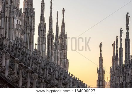 Roof of the Milan Cathedral with spiers at sunset
