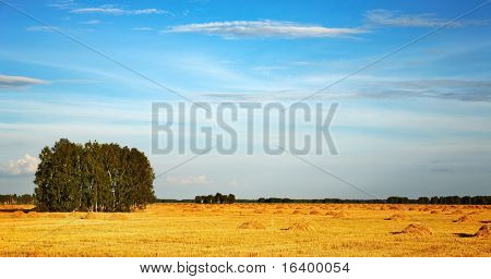 Letní krajina s hayfield při západu slunce