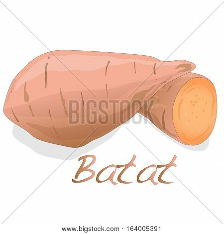 Batat, Sweet Potato Illustration On White