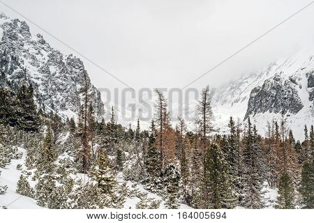 Winter in High Tatras Mountains. High Tatry. Slovakia. Vysoke Tatry