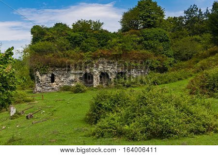 Overgrown ruins of ancient church VI-VII century, Abkhazia