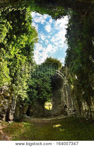 Overgrown ruins of ancient church VI-VII century, Abkhazia