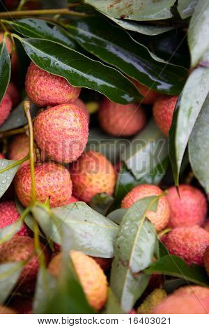 다양 한 시장 매점에 신선한 litchis