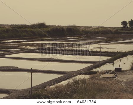 The salt marshes of Guerande in the Bretagne, France. Landscape of work place for collect salt on sunset