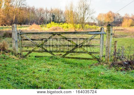 Old and crooked wooden gate near a nature area. The gate is closed and and locked with a chain and padlock.