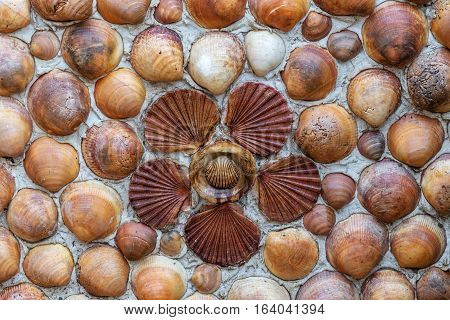 Mosaic of seashells and flower shape on the wall. Close-up.