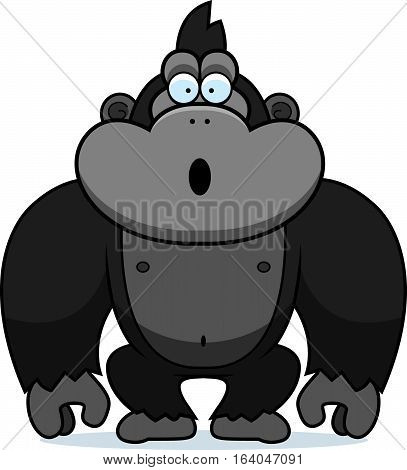 Gorilla Surprised