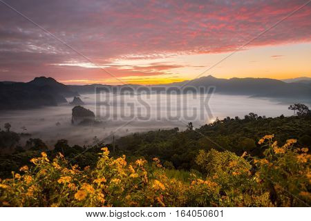 Morning fog on sunrise in the Phulanka, Phayao