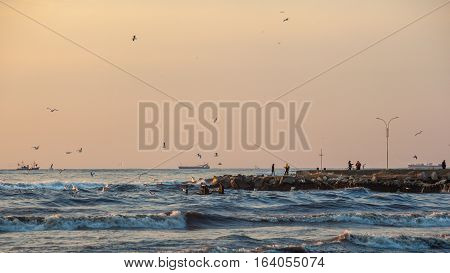 Storm, Gulls On The Coast Of The Black Sea, The River Rioni, Poti, Georgia
