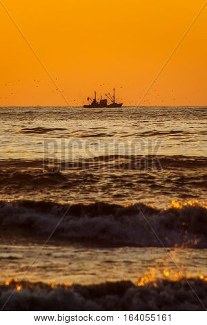 Seiner On A Black Sea, Poti, Georgia