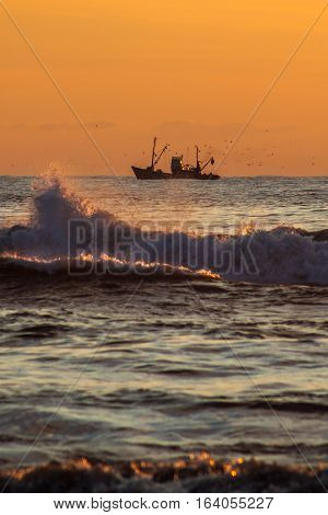 Seiner On A Black Sea, Poti, Georgia