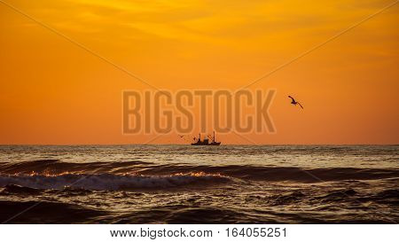 Seiner On A Black Sea, Poti, Georgia