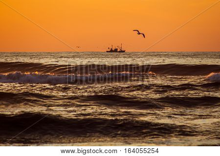 Seiner On A Black Sea, Poti, Georgia