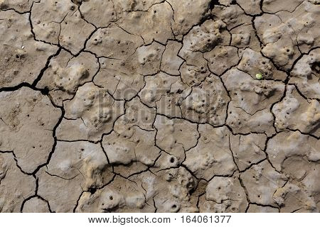 Closeup of cracked surface. Drought and muddy land