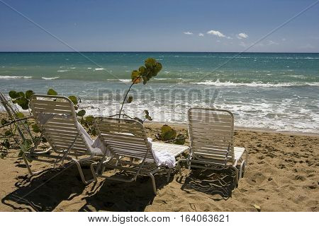 Empty tanning chairs on a beach in Puerto Rico.