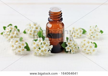 Dark glass apothecary essential oil dropper bottle amidst tender soft spring aromatic blossom, white copyscpace background. Natural remedy flower tincture.