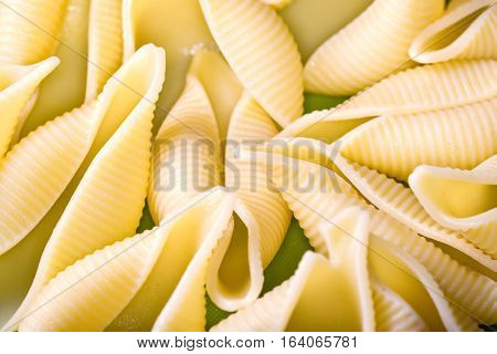 Cooked traditional Italian conchiglioni rigati pasta close up on green background.