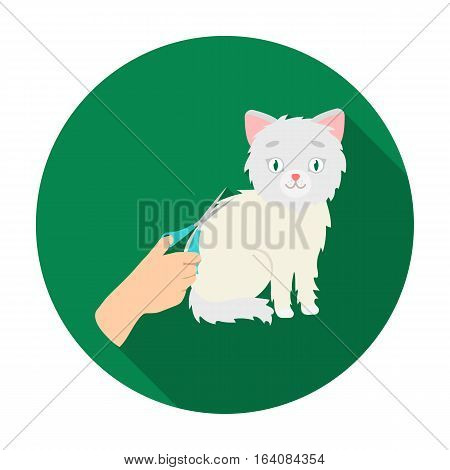 Grooming of a cat icon in flat design isolated on white background. Veterinary clinic symbol stock vector illustration.
