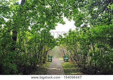 TARKHANI RUSSIA - AUGUST 28 2016: Alley and two benches in the State Lermontov Museum-Reserve Tarkhany