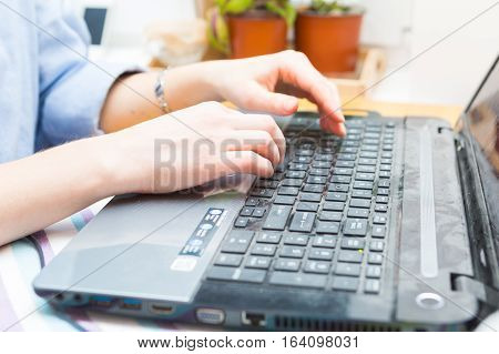 Woman Working On Laptop Keyboard Hands Close Up