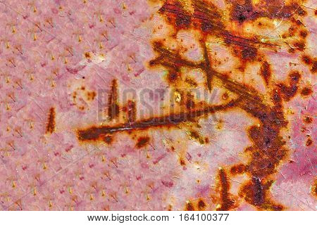Background texture of Rusted steel and abstract