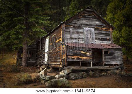 Old Wooden Cabin In The Woods Near Grover Hot Springs, Ca