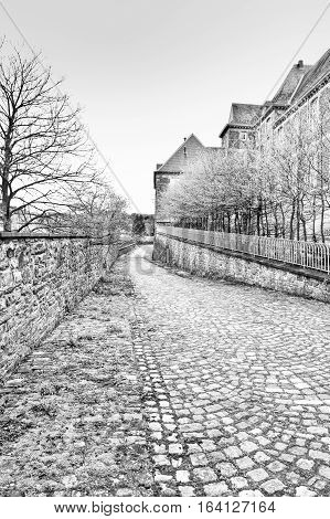 Belgian houses with gardens along a quiet street with hedges and trees. The old pavement covered with moss in St Hubert Belgium. Black and White Picture