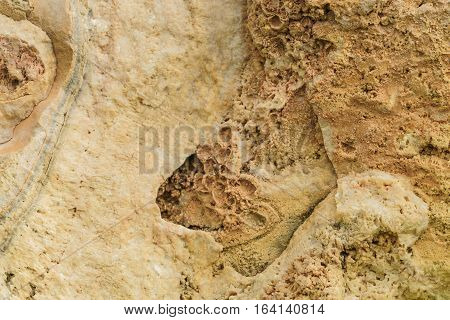Texture Cross-section stone of natural Tropfstein or stalactites hard stone texture background floor decorative stone interior stone.