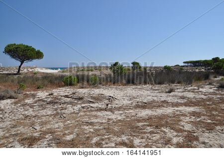 BUDONI Sardinia Italy TANAUNELLA BEACH SUMMER 2016