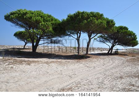 BUDONI Sardinia Italy TANAUNELLA BEACH SUMMER 2016