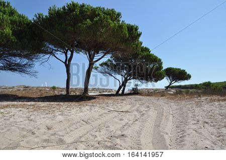 BUDONI Sardinia Italy TANAUNELLA BEACH SUMMER 2016