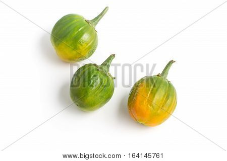 African Eggplant. Brazilian Jilo isolated on white background