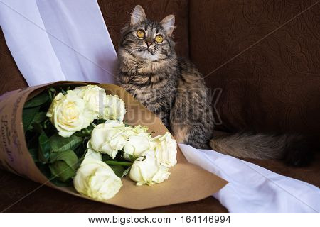 Cat With Bouquet.