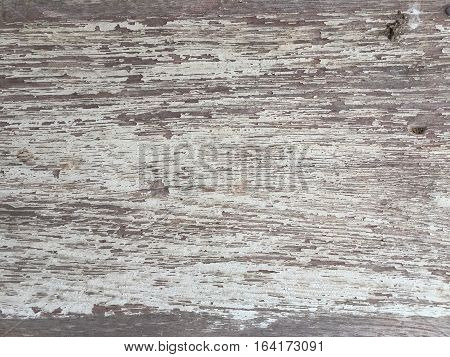 Texture of the old wood on mayp