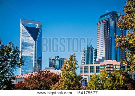 charlotte city skyline from marshall park autumn season with blue sky