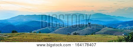 Panorama view of rice field with rice stubble left after harvesting with high mountain at Ban Pa Pong Piang at sunset Chiang Mai province Thailand