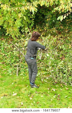 verneuil sur Seine France - november 3 2016 : a pruner in agarden