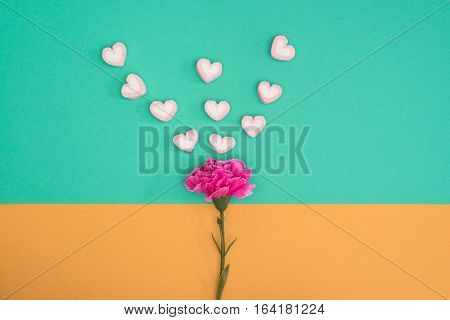 valentines candy with pink carnation flower on green and orange paper background minimal style