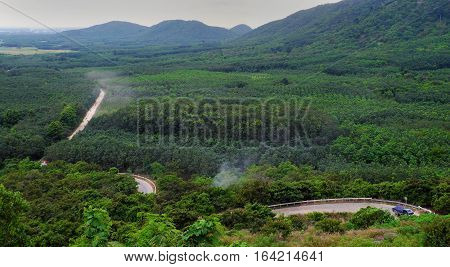 Dust Road Through Green  Jungle At Vietnam