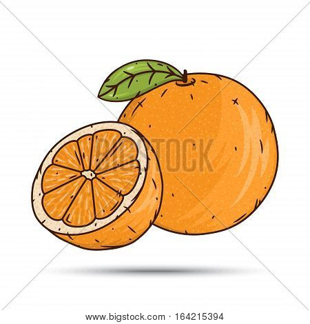 Orange fruit and slices isolated on white background