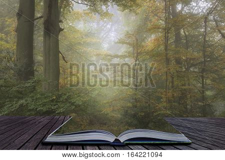 Stunning Colorful Vibrant Evocative Autumn Fall Foggy Forest Landscape Coming Out Of Pages Of Book