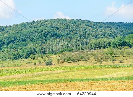 Countryside Of Region Horezu With Hills, Forests And Fileds, Summer Time