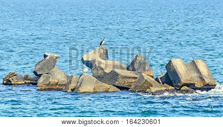 Stabilopods, Rocks In The Sea Water, Black Sea, Blue Green Water