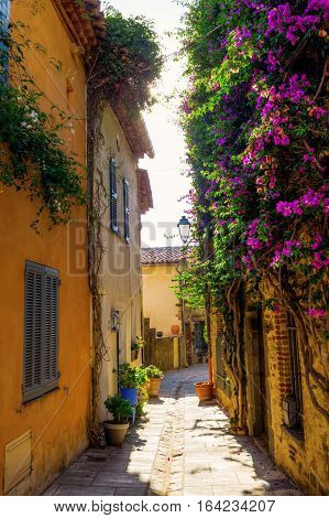 Picturesque Alley In Grimaud, France