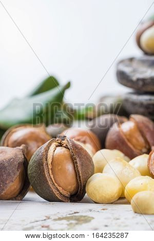 Macadamia nuts in shells harvest close up