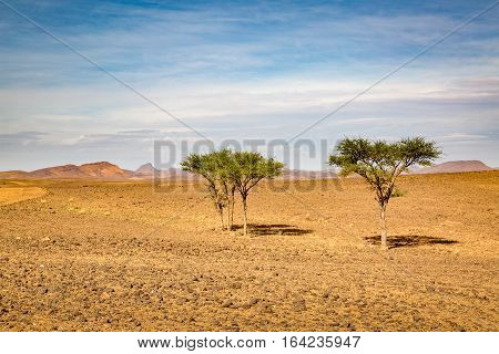 Typical Landscape Of Southern Morocco.